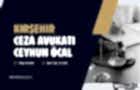Ağcabədi Ceza Avukatı Ceyhun ÖCAL